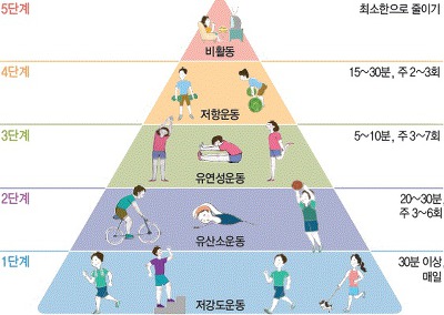 디자인91 이미지