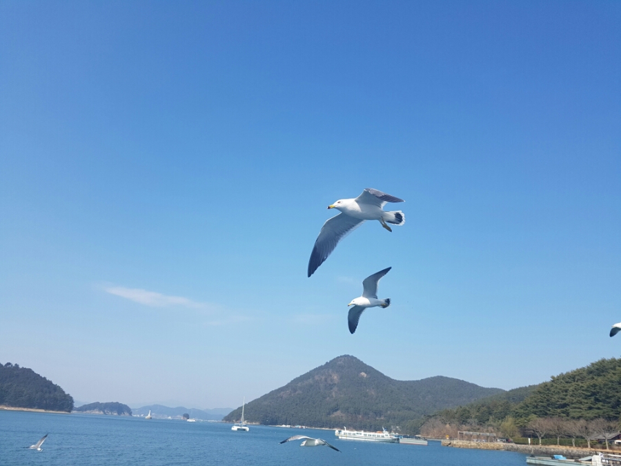 통영어패류 이미지