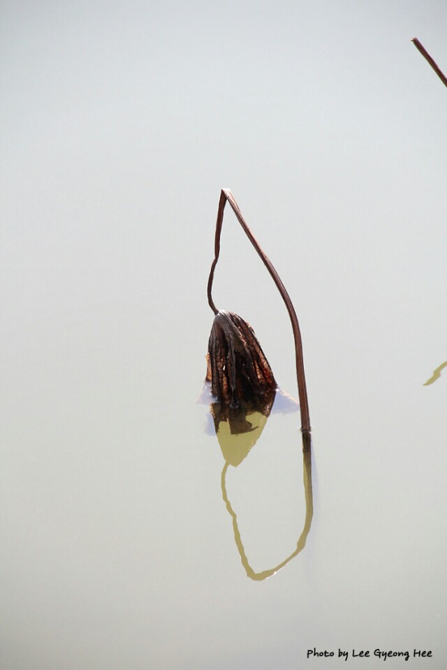 친구사이 이미지