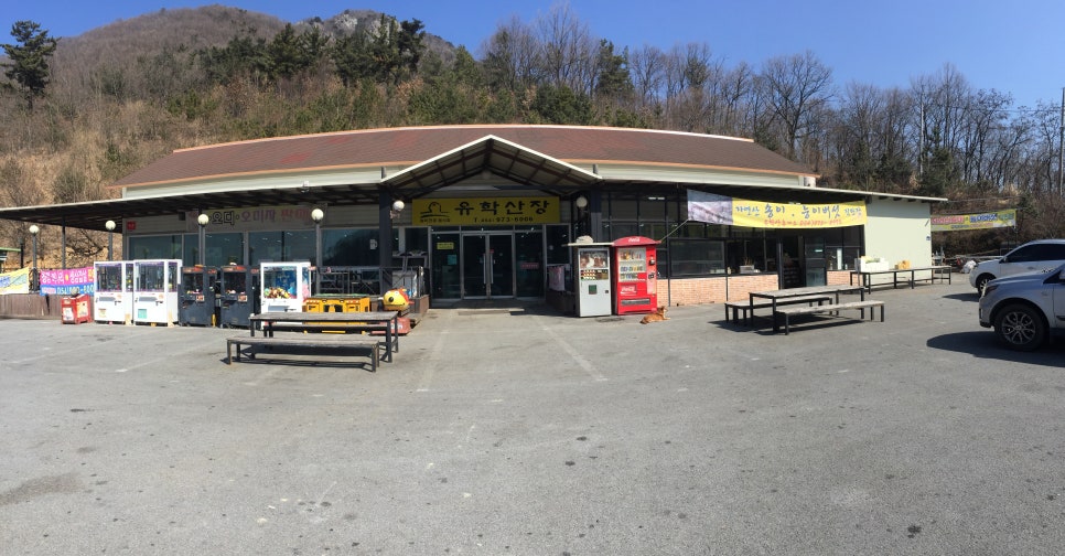 뭐길래산장식당 이미지