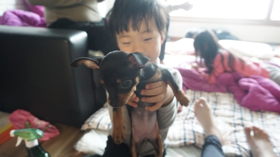 성꼬미 이미지