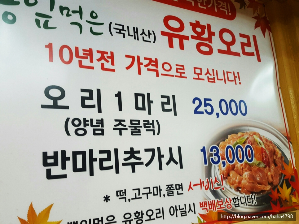 춘천무쇠닭갈비유황오리 이미지