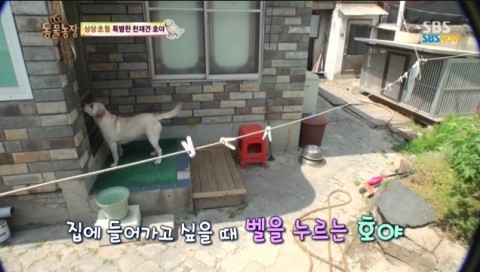 호야농장 이미지