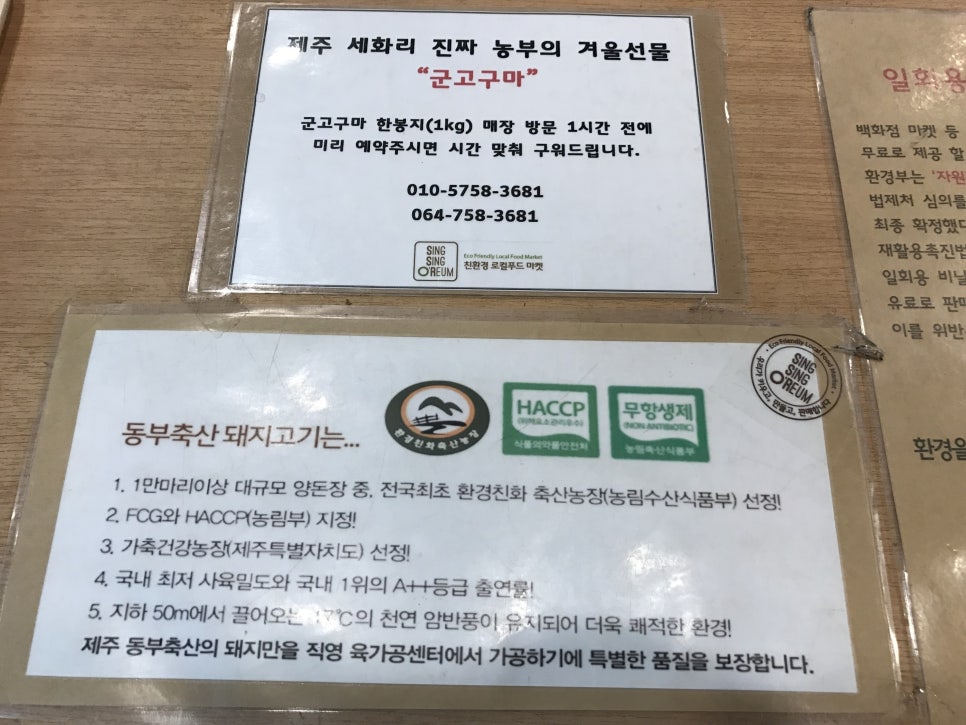 싱싱오름 이미지
