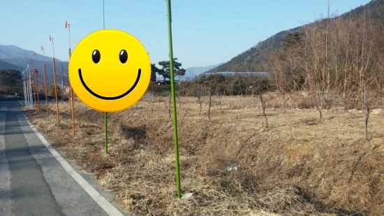 상록행정사 이미지