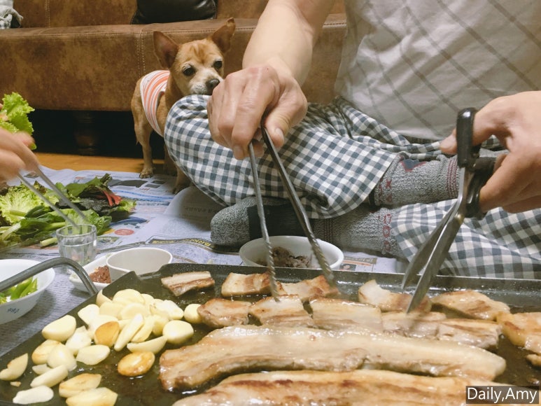 몽실이고기 이미지
