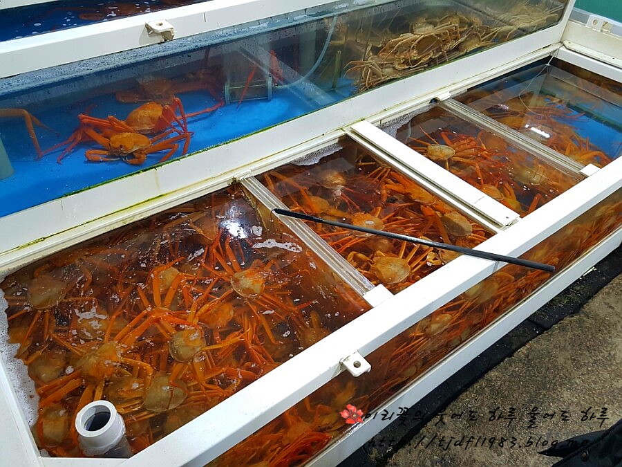 바다마실건어물 이미지