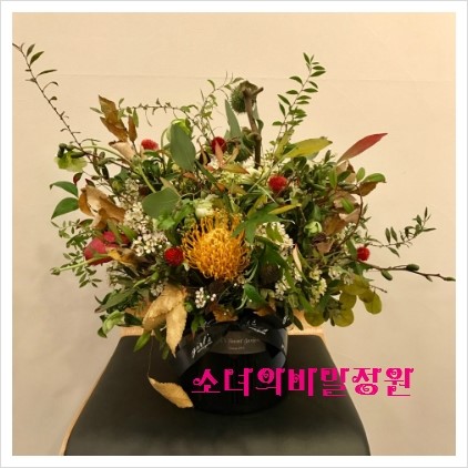 카두업 이미지