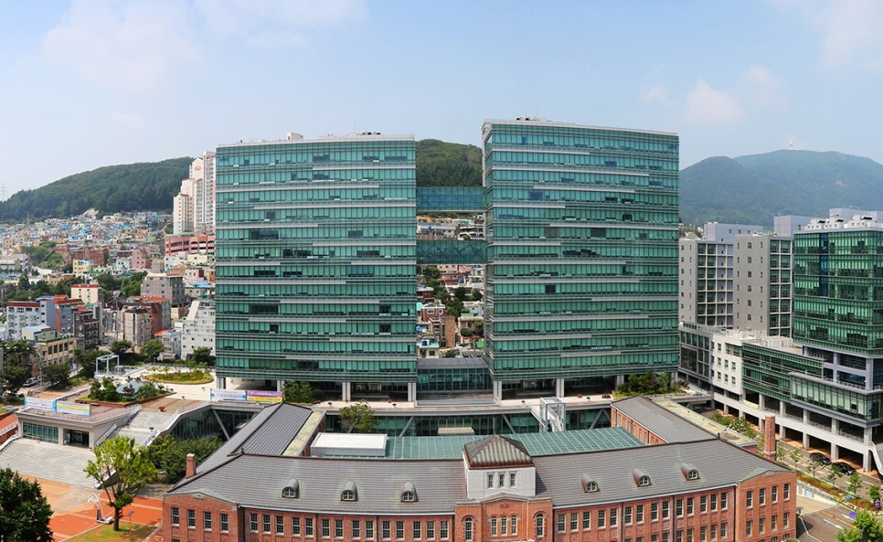 동아대학교 이미지