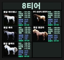 검은사막 9t 환상 아두아나트 디네 뭐죠 네이버 블로그