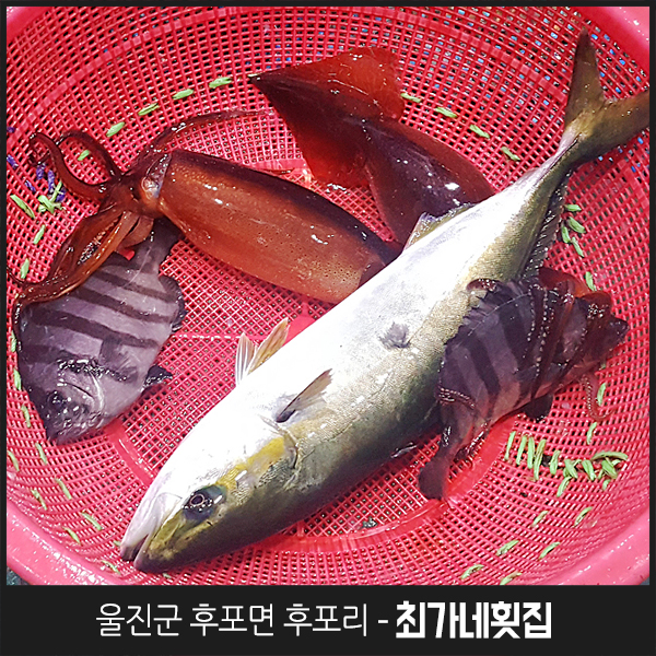 최가네회집 이미지