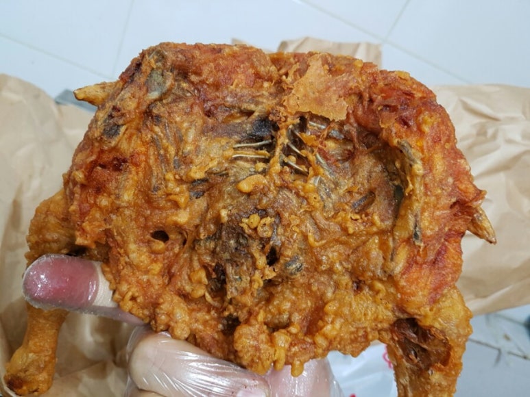 후다닭두마리 이미지