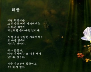 윤토마 이미지