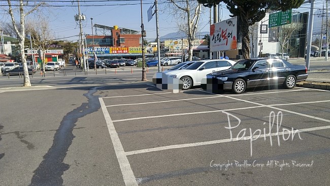 성림복어 이미지
