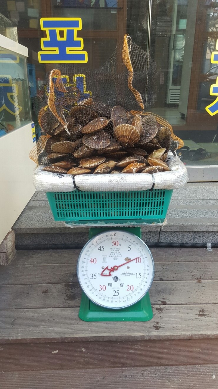 양구수산횟집 이미지