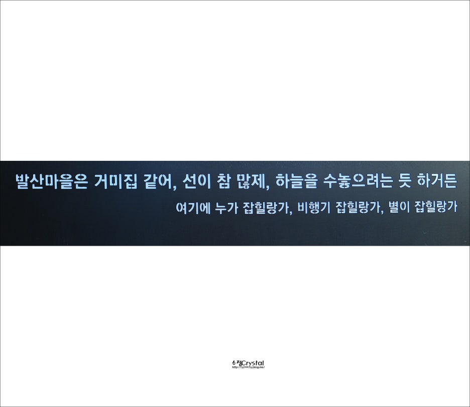 청춘 이미지