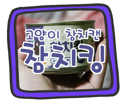 로켓참치 이미지