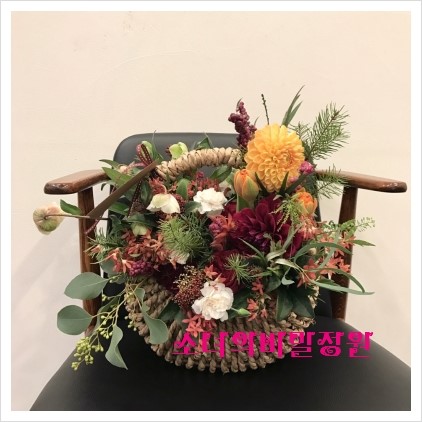 카두업 이미지