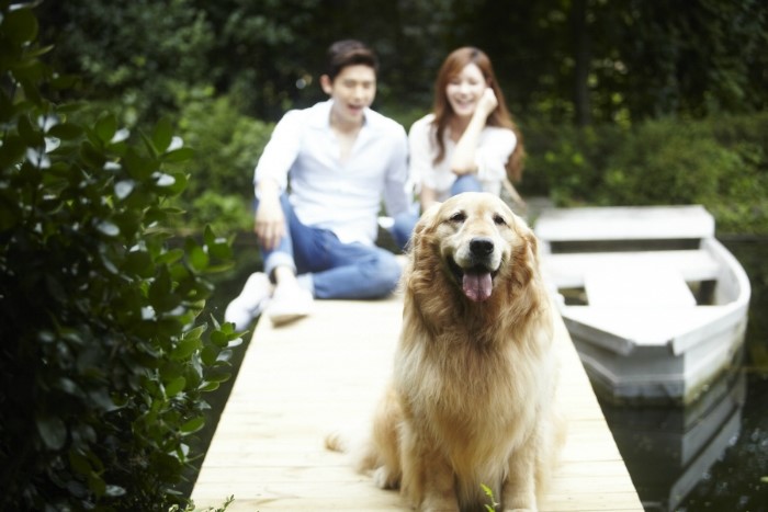엘헤어스튜디오 이미지