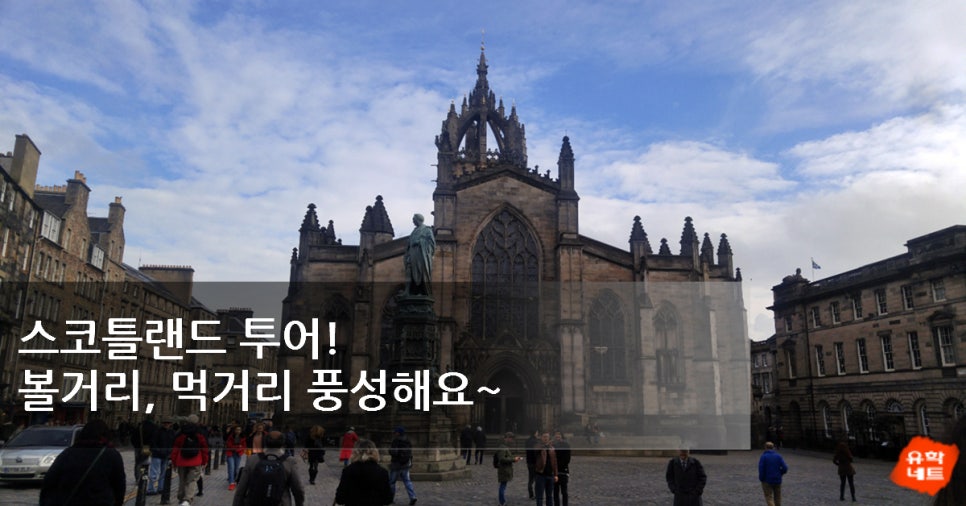 투어네트글로벌 이미지