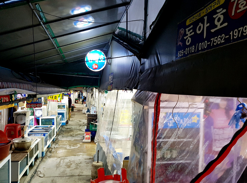 동아호 이미지