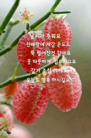 숙미용실 이미지