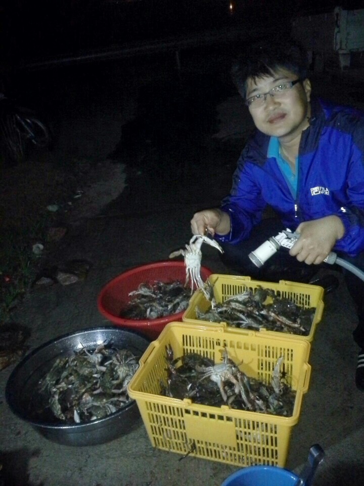 갯벌탐사 이미지