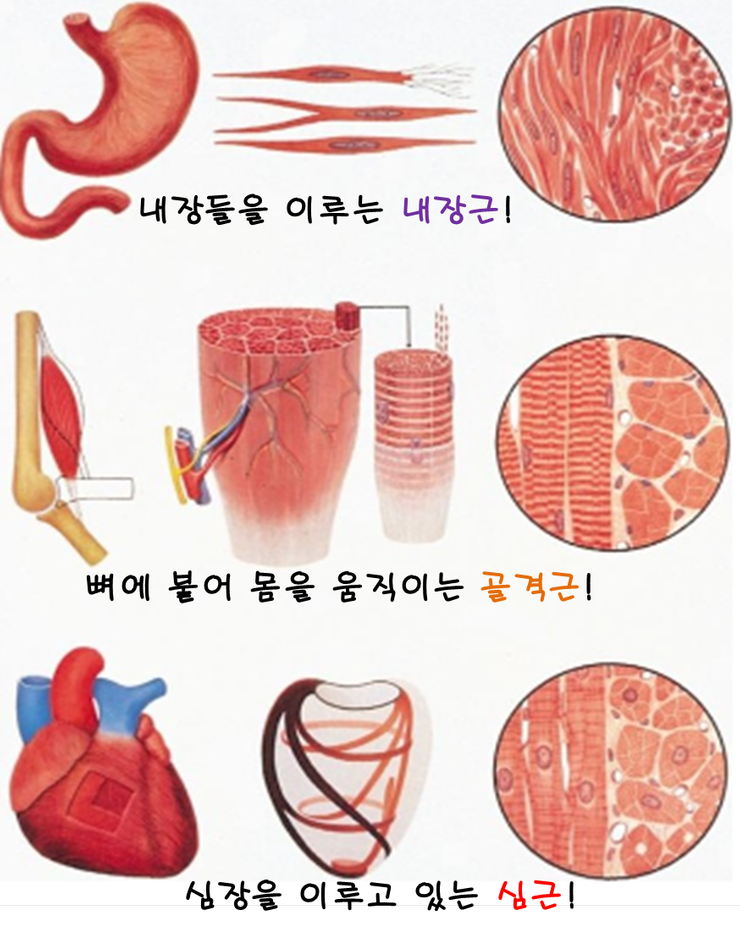 헬스story 이미지