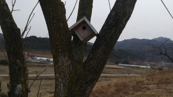 별빛민박농원 이미지