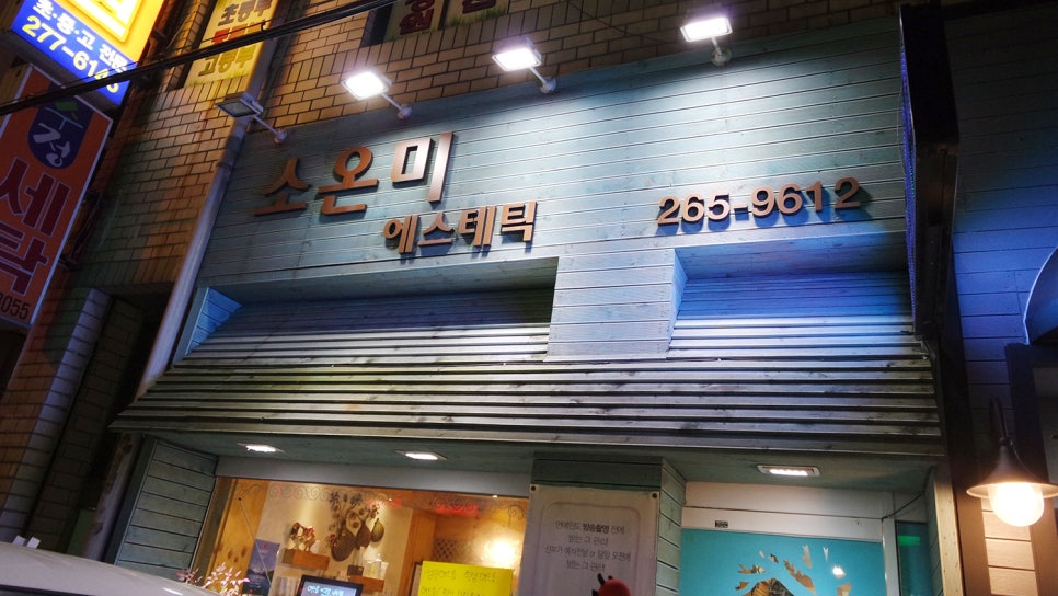 소온미 이미지