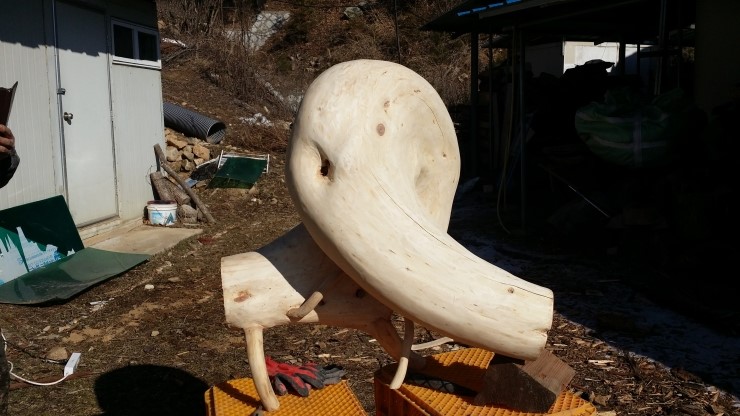 천시원교육농장 이미지