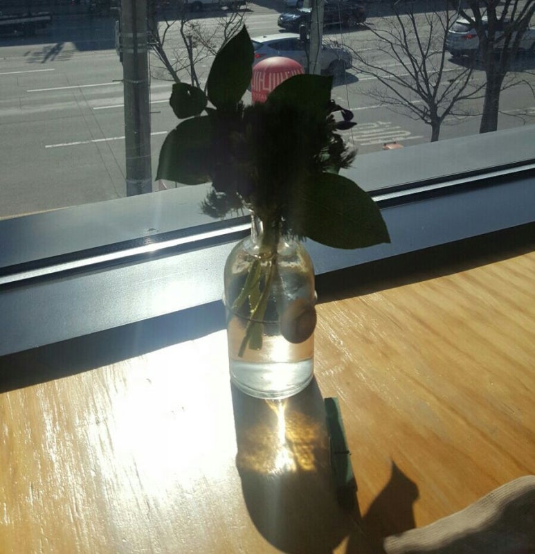 파노파니레스토랑 이미지