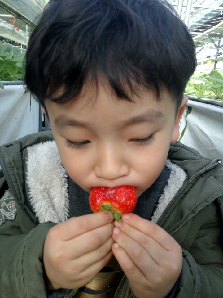 초록농장 이미지
