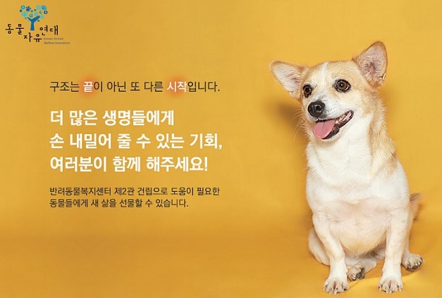 블럭앤 이미지