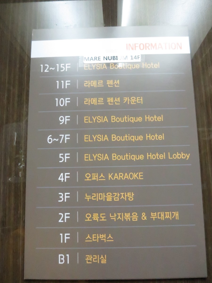 마레누비움 이미지