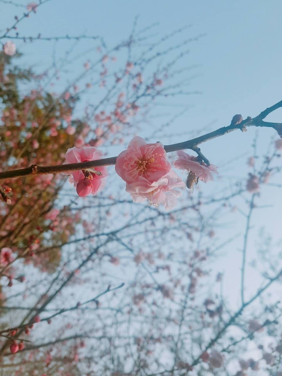 두유네일 이미지