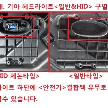 메딕카 이미지