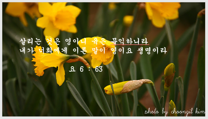 욱은 이미지