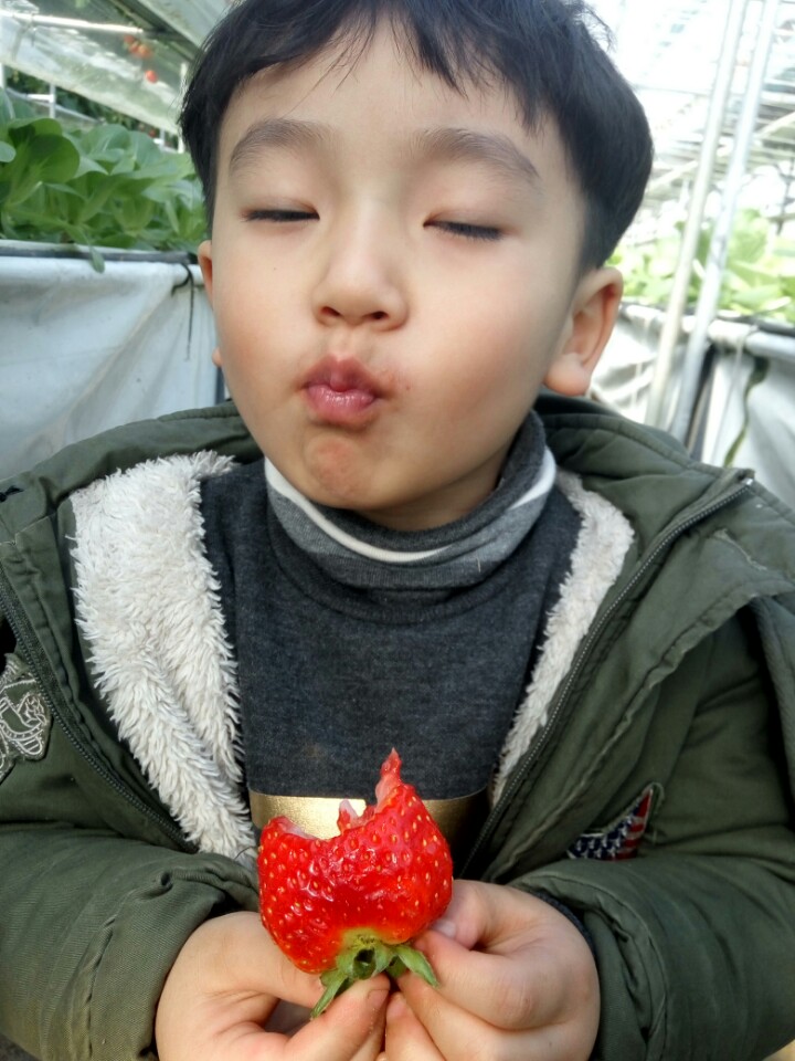 초록농장 이미지