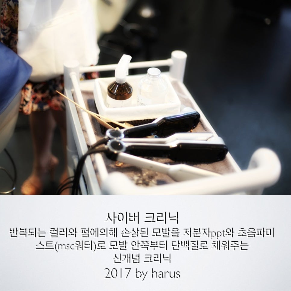하루스(HARUS) 이미지