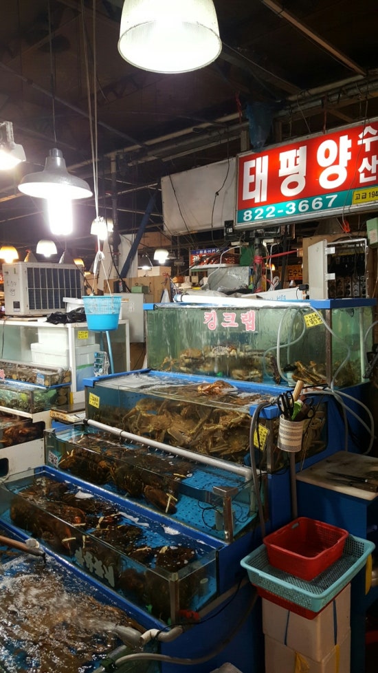 확끌리네 이미지