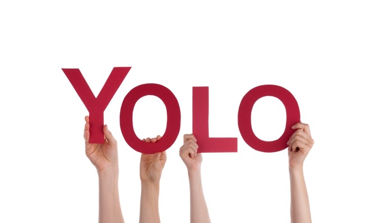 욜로(YOLO) 이미지