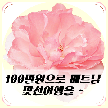 결혼정보퍼펙트 이미지