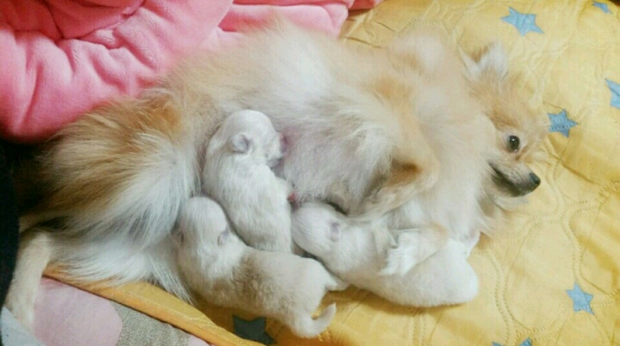 콩이 이미지