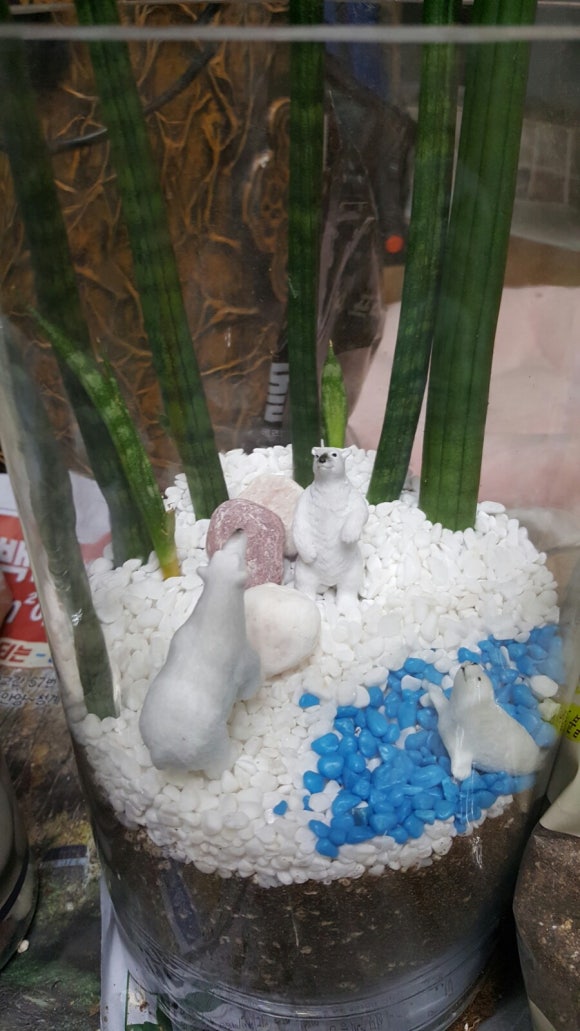 흰돌인터넷 이미지