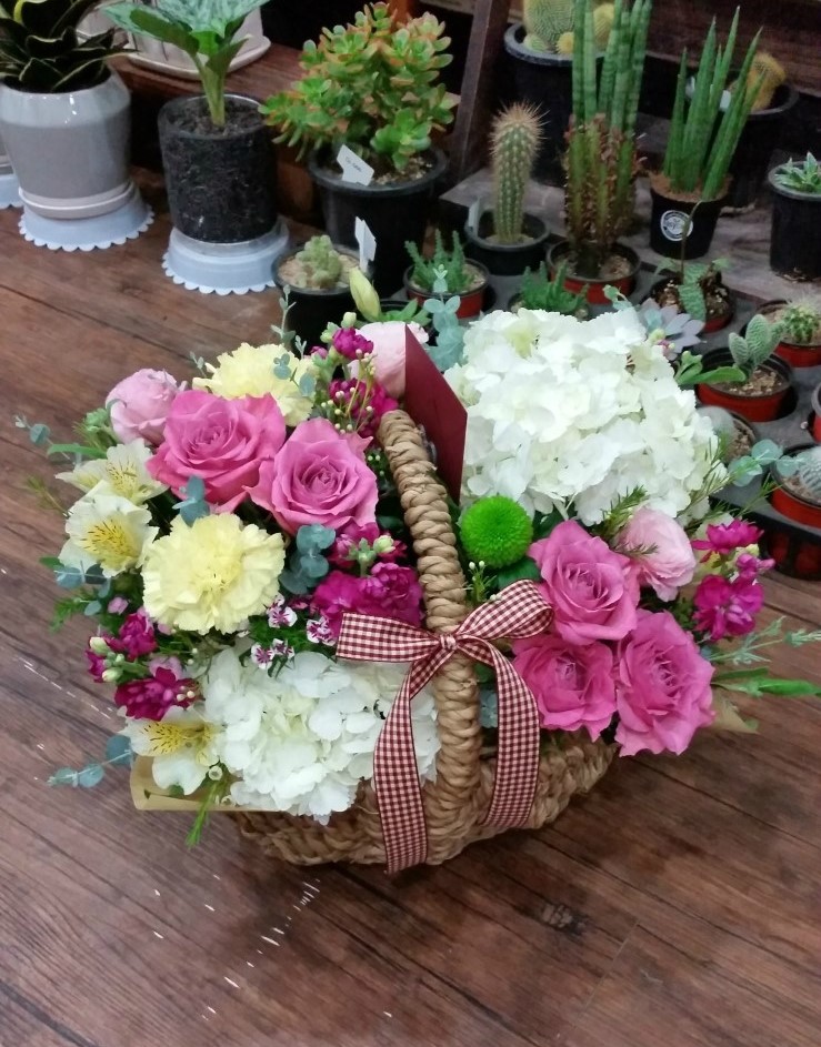 담쟁이화원 이미지