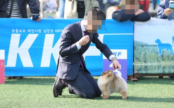 해요스테이 이미지