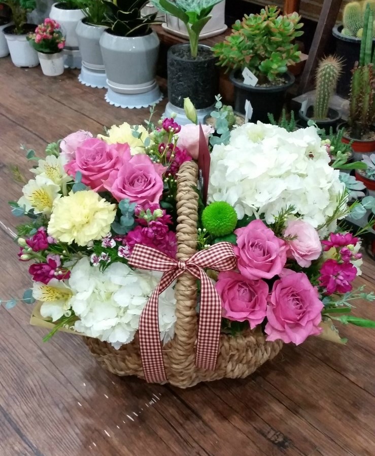 담쟁이화원 이미지