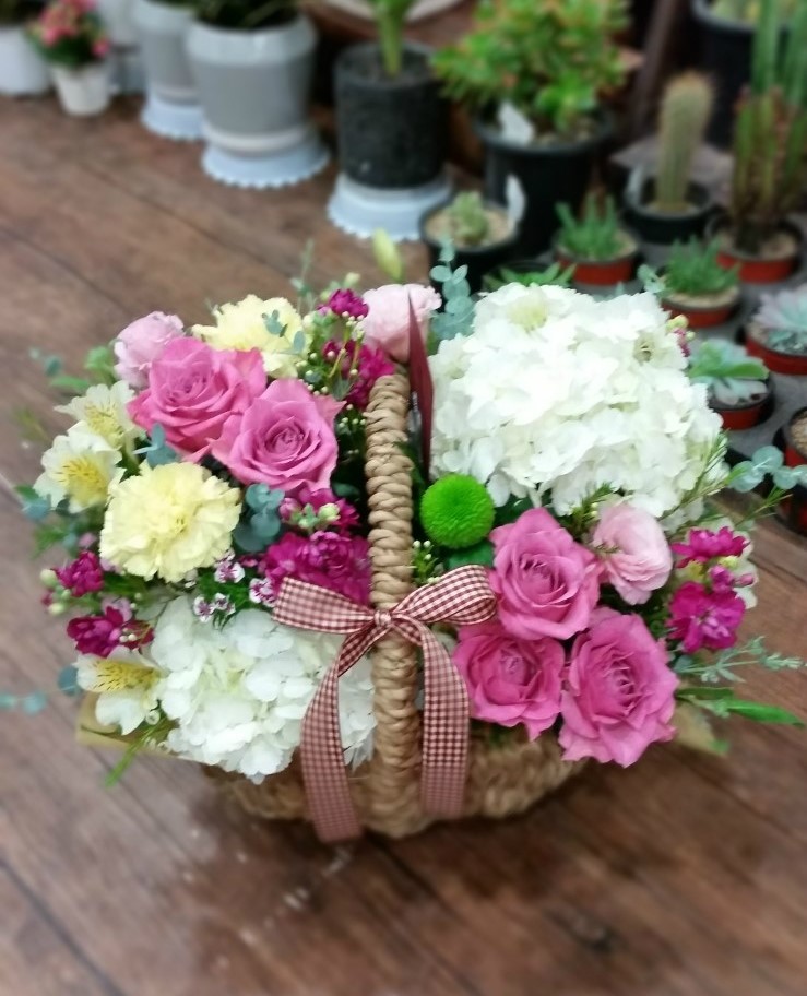 담쟁이화원 이미지