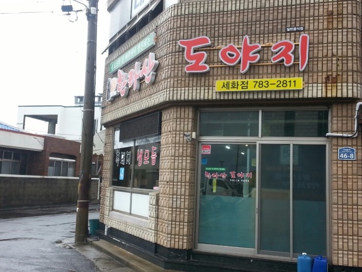 일출봉아로니아 이미지